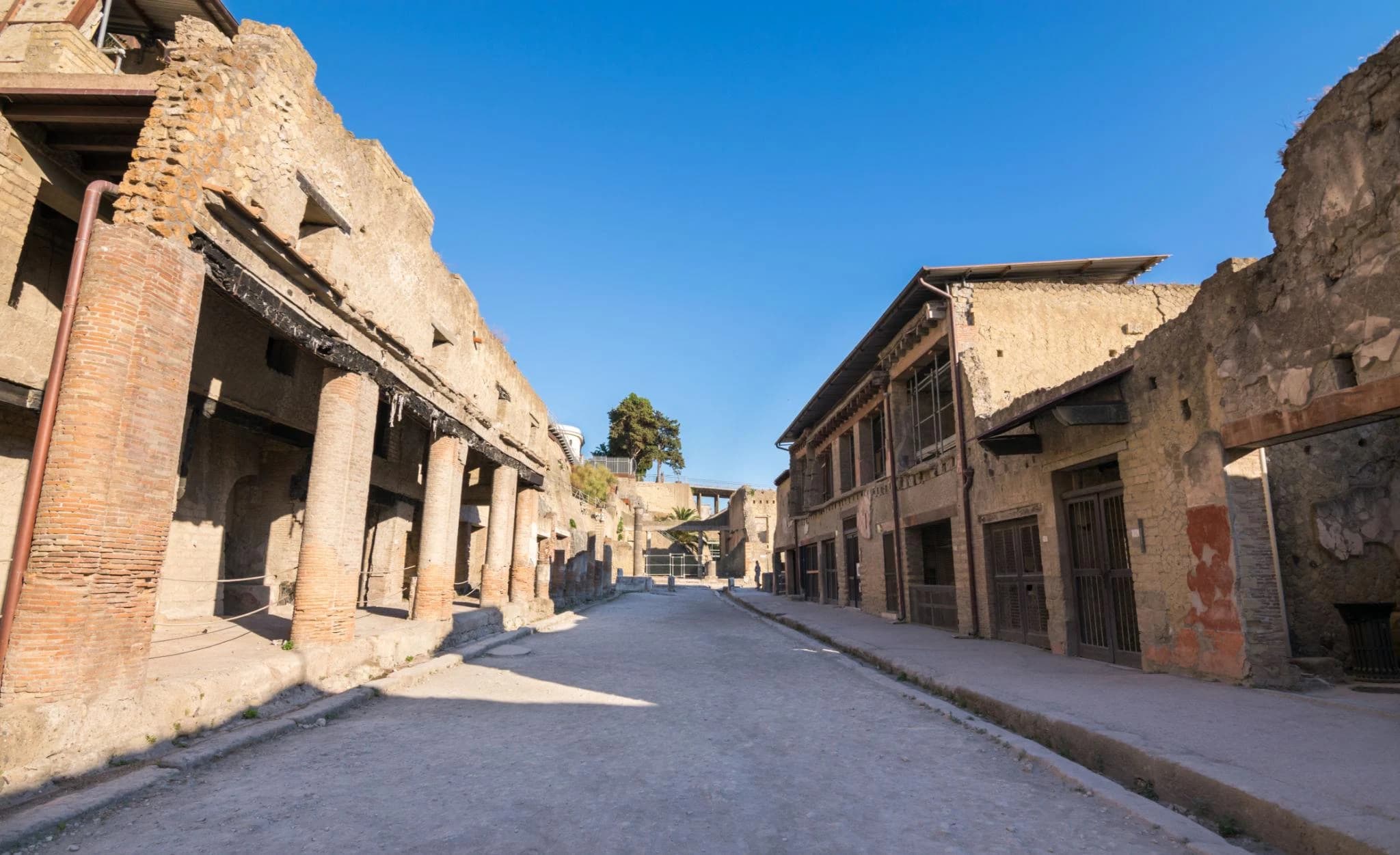 Ingresso e biglietti per Tour guidato di Pompei ed Ercolano con archeologo