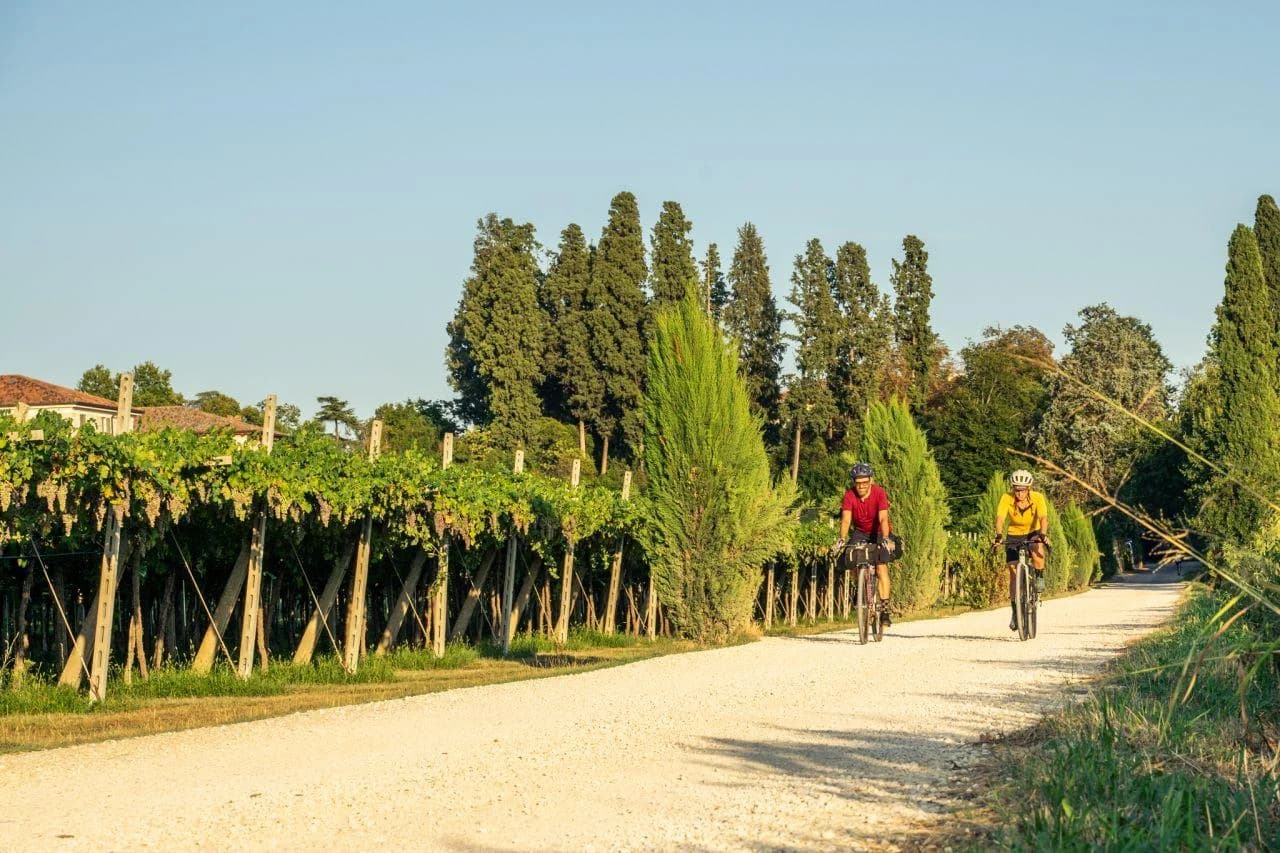 Ingresso e biglietti per Tour in bicicletta del vino Amarone in Valpolicella