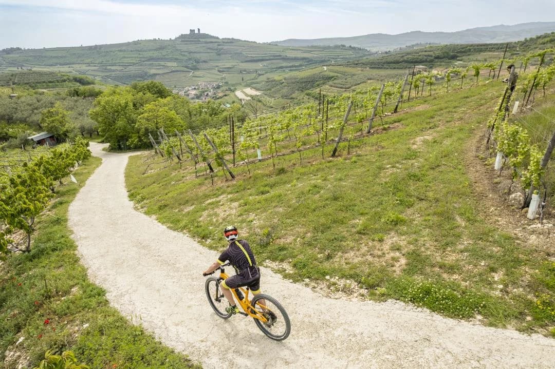 Ingresso e biglietti per Tour in bicicletta del vino Amarone in Valpolicella