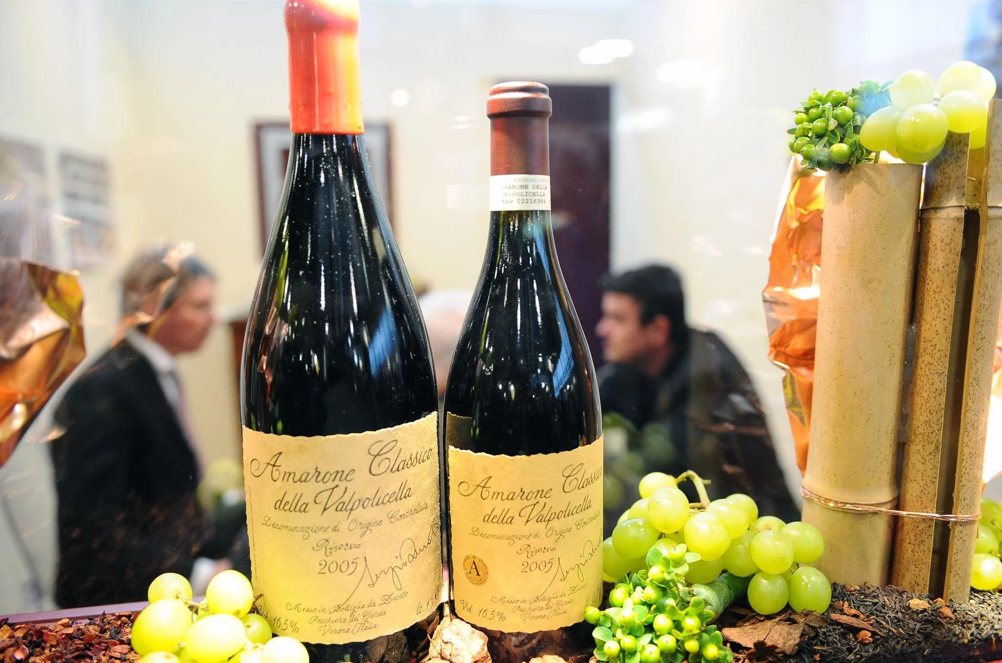 Ingresso e biglietti per Tour in bicicletta del vino Amarone in Valpolicella