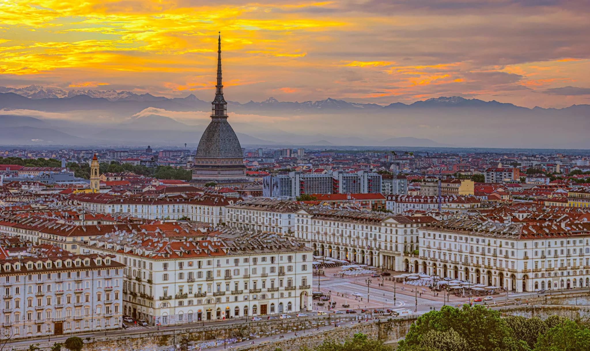 Visita guidata al Museo del Cinema e Mole Antonelliana