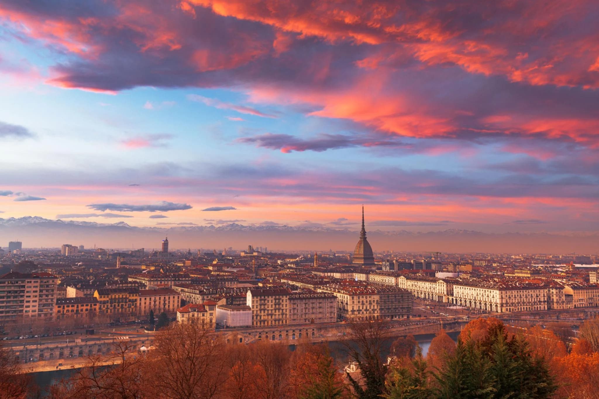 Ingresso e biglietti per Visita guidata al Museo del Cinema e Mole Antonelliana