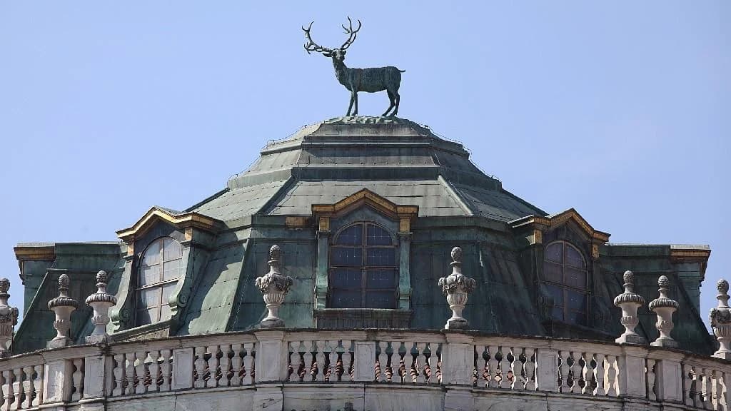 Ingresso e biglietti per Visita guidata della Palazzina di Caccia Stupinigi