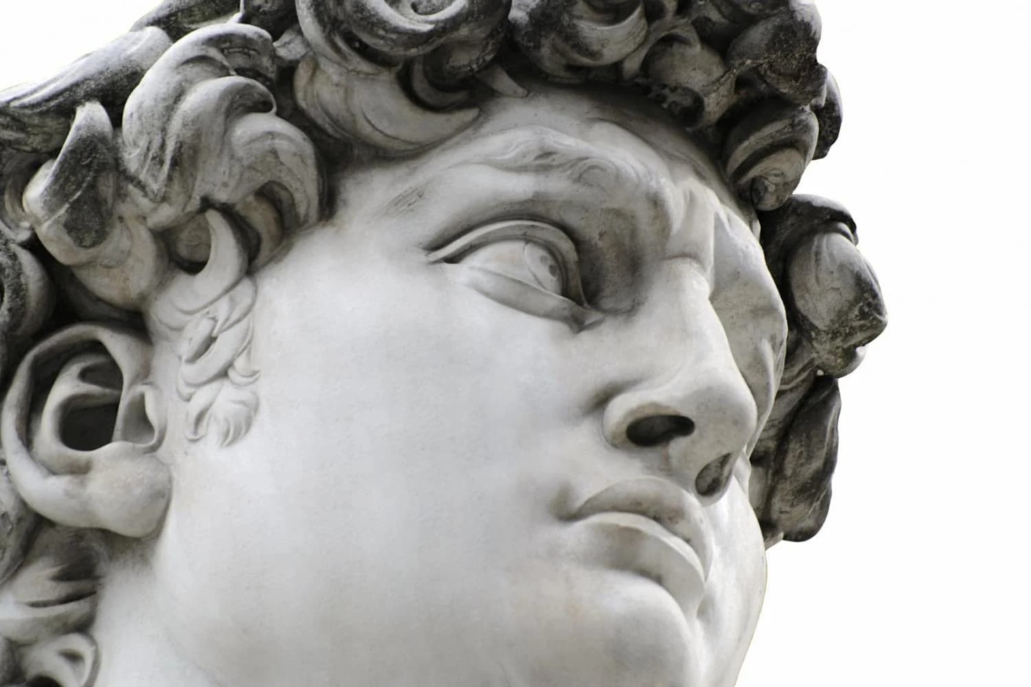 Ingresso e biglietti per Visita Guidata: Galleria dell'Accademia e Galleria degli Uffizi